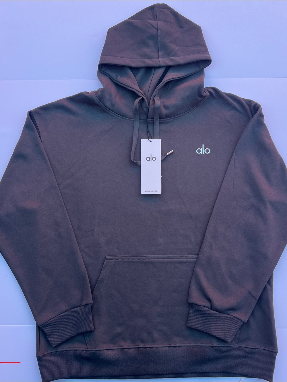 Alo Unisex Hooded Pullover Sweatshirt in Dark Gray